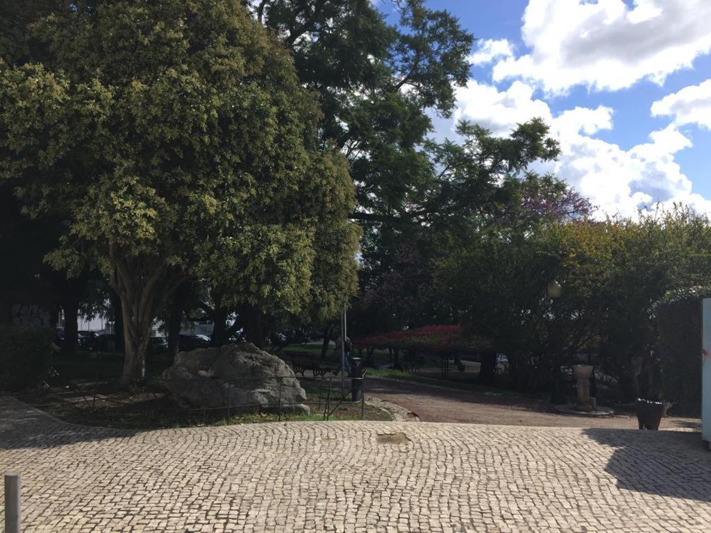 Cozy Estrela Apartment Lisboa 外观 照片